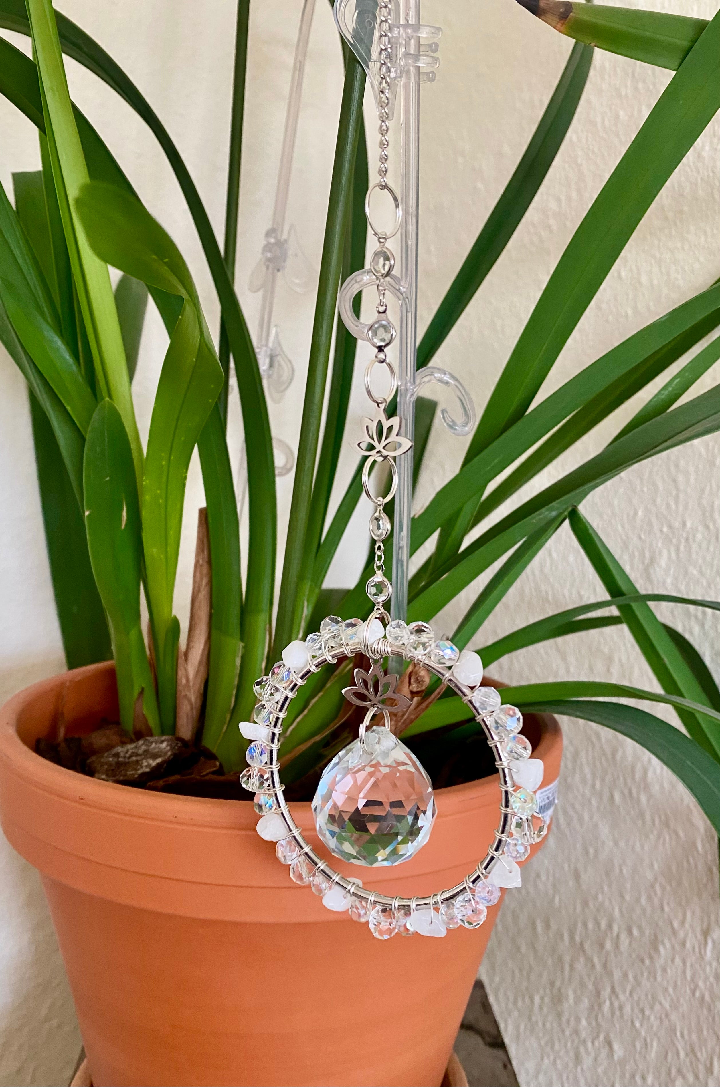 Lotus Serie - Der Einfache in Silberfarbene