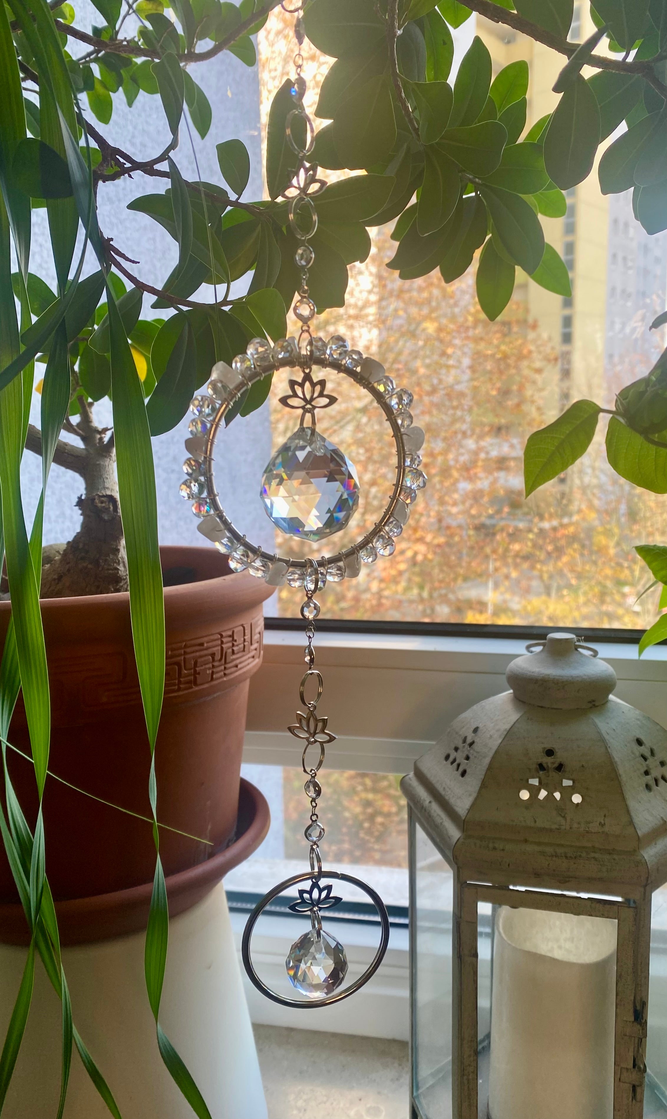 Lotus Serie - Der Doppelte in Silberfarben