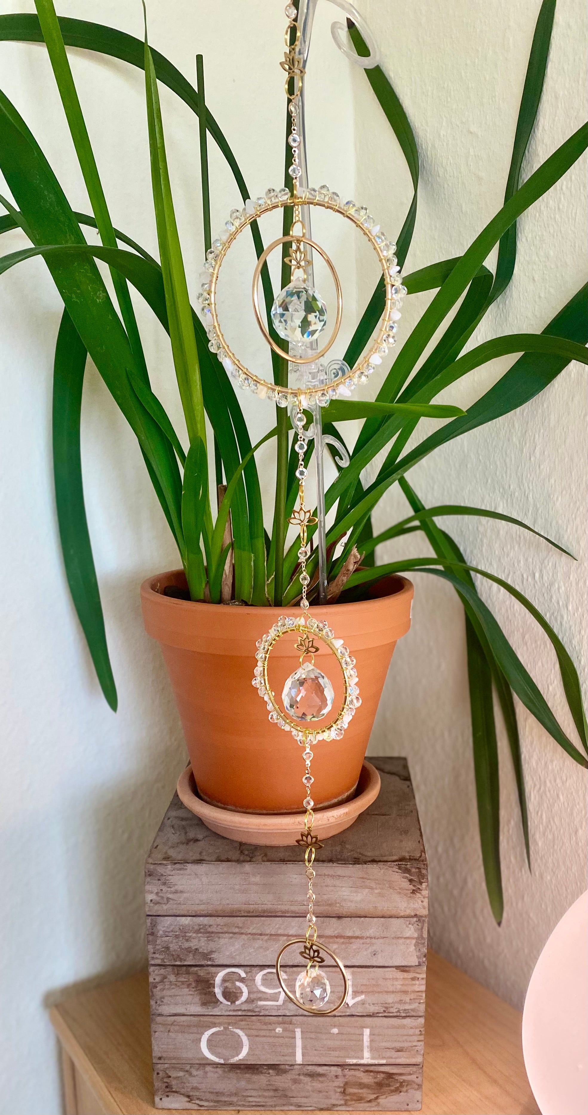 Lotus Serie - Der Dreifache in Goldfarben