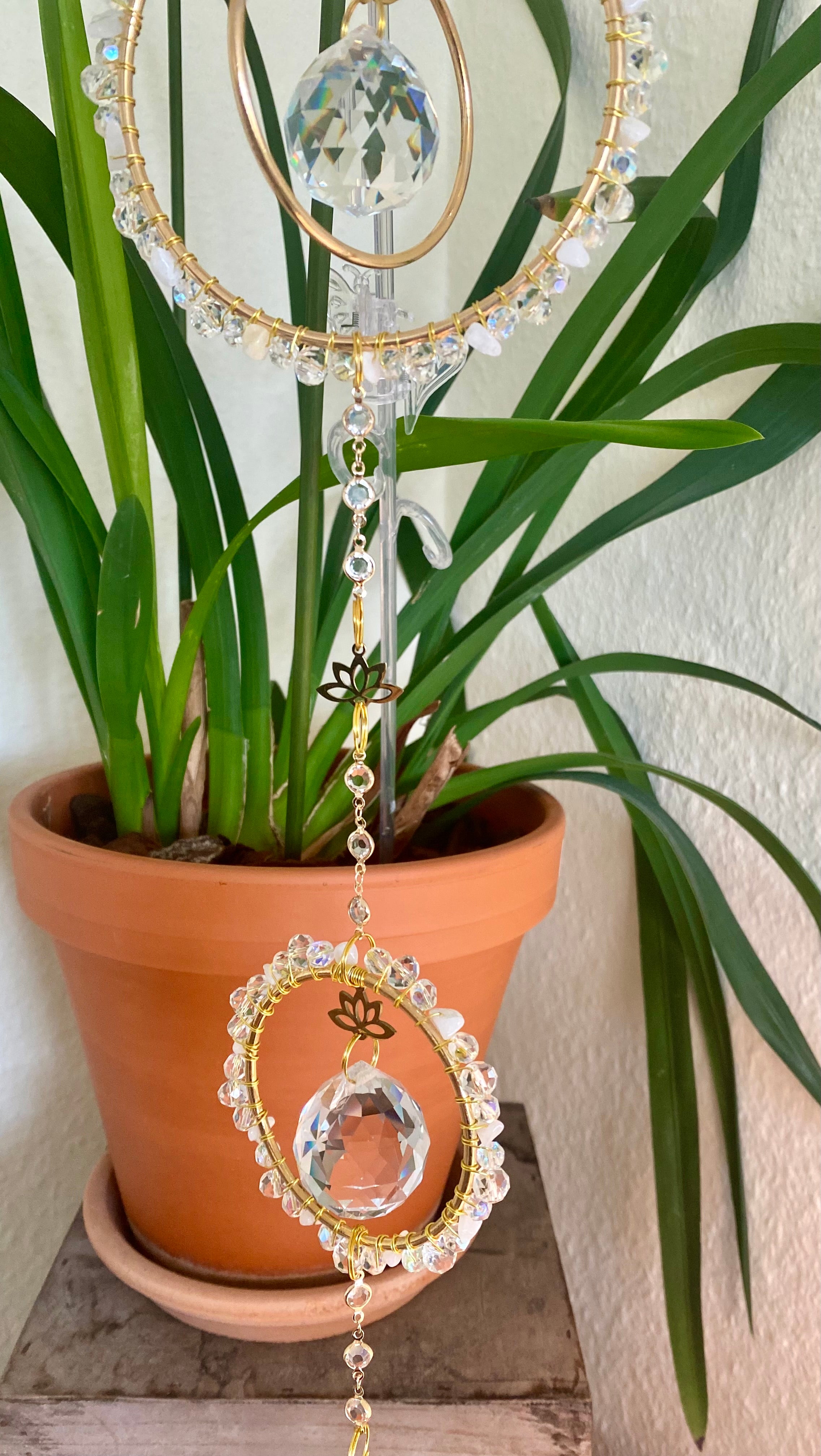 Lotus Serie - Der Dreifache in Goldfarben